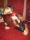 Samanta - 29989975