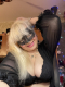 Samanta - 29989975