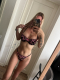 Elina sex baby - 37120448764